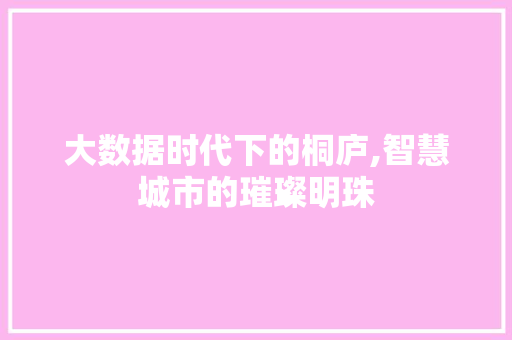 大数据时代下的桐庐,智慧城市的璀璨明珠 网站建设