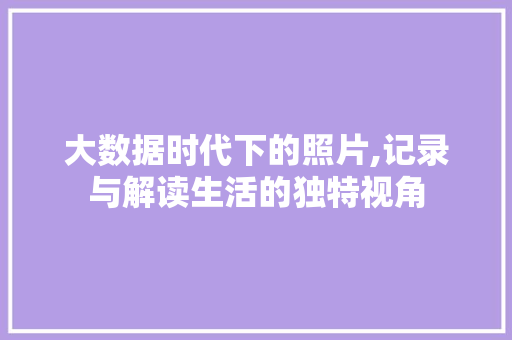 大数据时代下的照片,记录与解读生活的独特视角 前端技术
