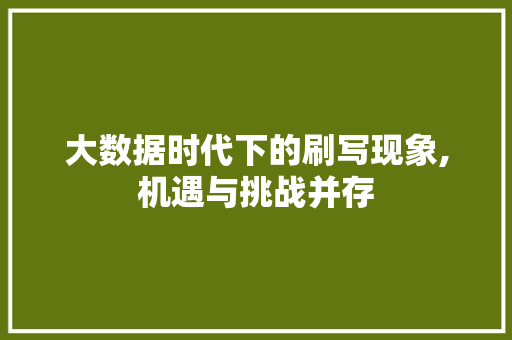 大数据时代下的刷写现象,机遇与挑战并存 市场营销范文