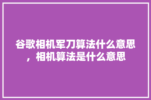 谷歌相机军刀算法什么意思，相机算法是什么意思
