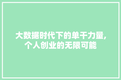 大数据时代下的单干力量,个人创业的无限可能
