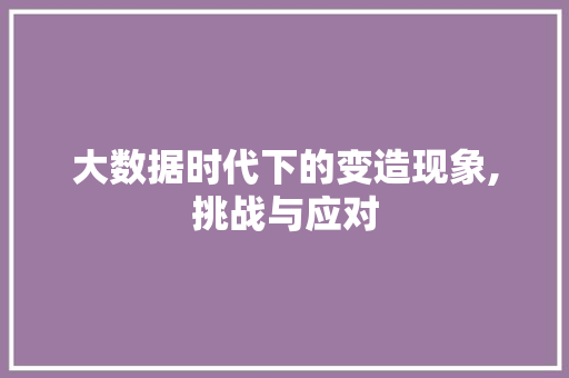 大数据时代下的变造现象,挑战与应对 前端技术