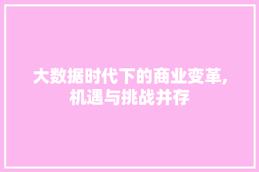 大数据时代下的商业变革,机遇与挑战并存