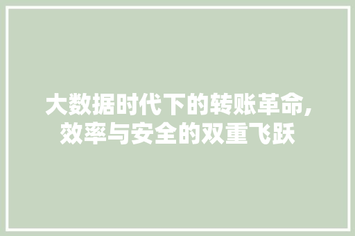 大数据时代下的转账革命,效率与安全的双重飞跃