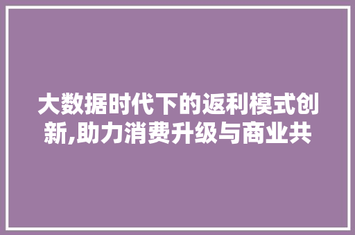 大数据时代下的返利模式创新,助力消费升级与商业共赢