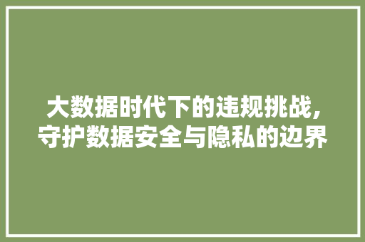 大数据时代下的违规挑战,守护数据安全与隐私的边界 MySQL