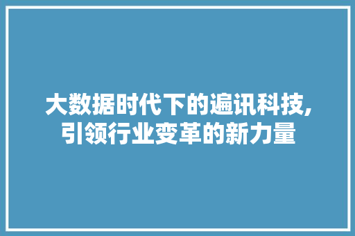 大数据时代下的遍讯科技,引领行业变革的新力量 缓存Redis