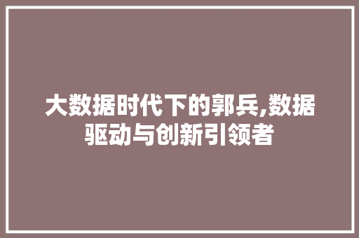 大数据时代下的郭兵,数据驱动与创新引领者 后端技术