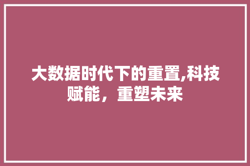 大数据时代下的重置,科技赋能，重塑未来
