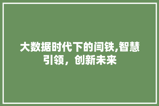大数据时代下的闫铁,智慧引领，创新未来