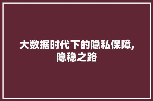 大数据时代下的隐私保障,隐稳之路 MySQL