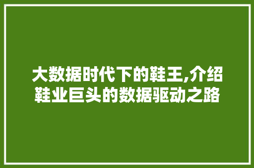 大数据时代下的鞋王,介绍鞋业巨头的数据驱动之路 缓存Redis