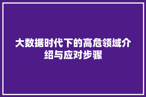 大数据时代下的高危领域介绍与应对步骤