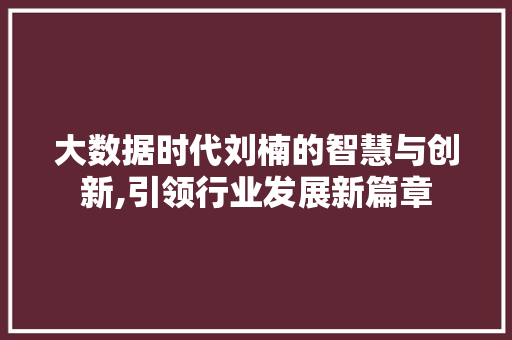 大数据时代刘楠的智慧与创新,引领行业发展新篇章 商务信函