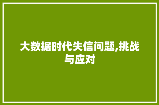 大数据时代失信问题,挑战与应对