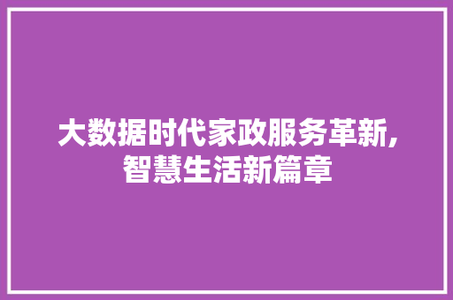 大数据时代家政服务革新,智慧生活新篇章