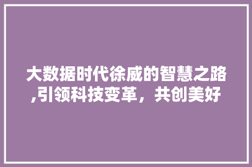 大数据时代徐威的智慧之路,引领科技变革，共创美好未来 网站建设