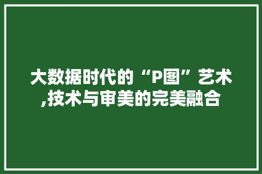 大数据时代的“P图”艺术,技术与审美的完美融合 响应式设计