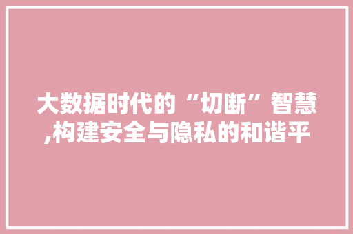 大数据时代的“切断”智慧,构建安全与隐私的和谐平衡