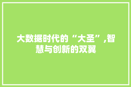 大数据时代的“大圣”,智慧与创新的双翼 项目报告