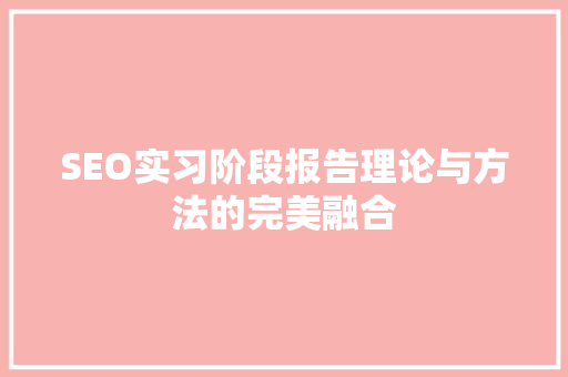 SEO实习阶段报告理论与方法的完美融合