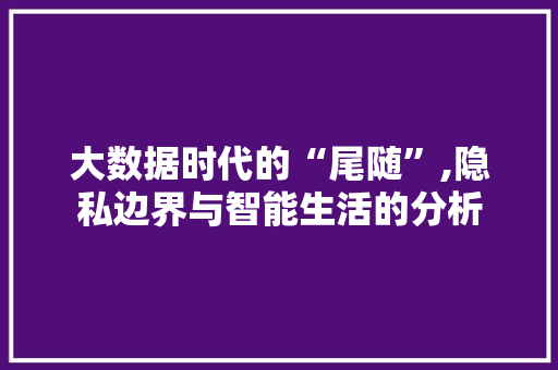 大数据时代的“尾随”,隐私边界与智能生活的分析 响应式设计