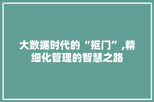 大数据时代的“抠门”,精细化管理的智慧之路 前端技术