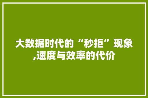 大数据时代的“秒拒”现象,速度与效率的代价