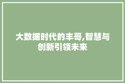 大数据时代的丰哥,智慧与创新引领未来 缓存Redis