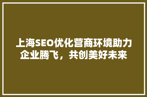 上海SEO优化营商环境助力企业腾飞，共创美好未来