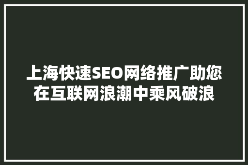 上海快速SEO网络推广助您在互联网浪潮中乘风破浪