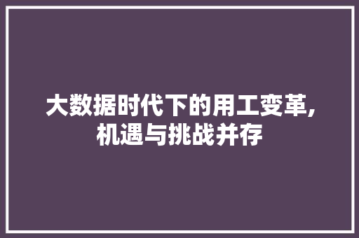 大数据时代下的用工变革,机遇与挑战并存
