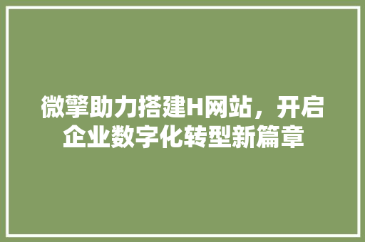 微擎助力搭建H网站，开启企业数字化转型新篇章 后端技术