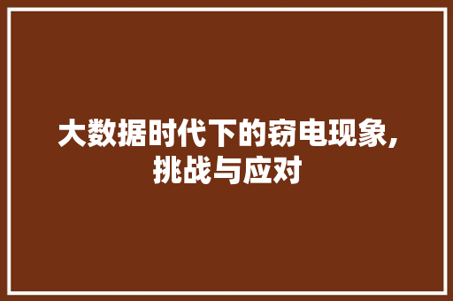 大数据时代下的窃电现象,挑战与应对