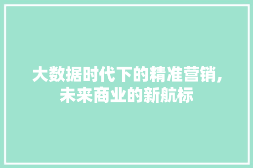 大数据时代下的精准营销,未来商业的新航标 市场营销范文