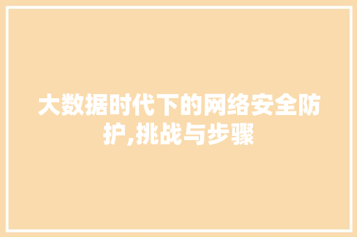 大数据时代下的网络安全防护,挑战与步骤