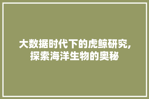 大数据时代下的虎鲸研究,探索海洋生物的奥秘 缓存Redis