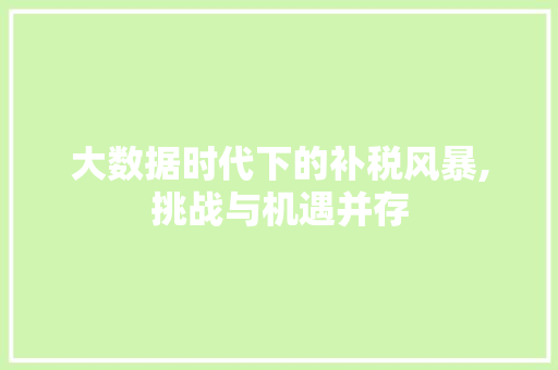 大数据时代下的补税风暴,挑战与机遇并存 网站建设