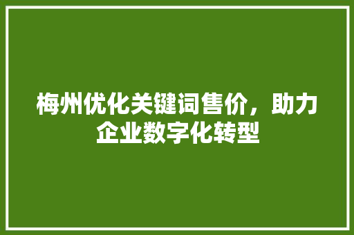 梅州优化关键词售价，助力企业数字化转型