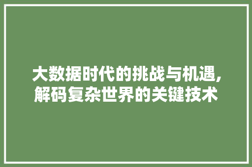 大数据时代的挑战与机遇,解码复杂世界的关键技术