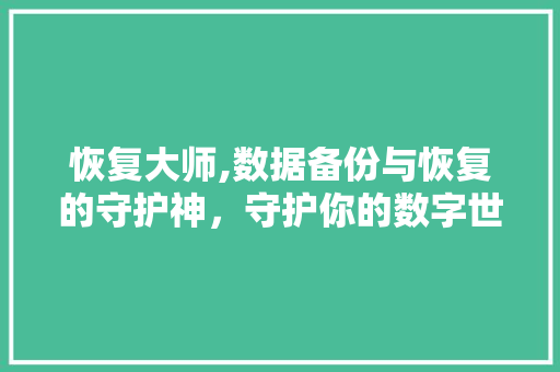 恢复大师,数据备份与恢复的守护神，守护你的数字世界 后端技术