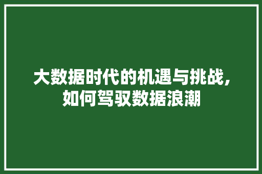大数据时代的机遇与挑战,如何驾驭数据浪潮