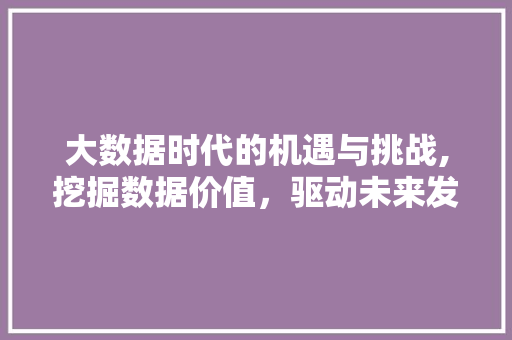 大数据时代的机遇与挑战,挖掘数据价值，驱动未来发展