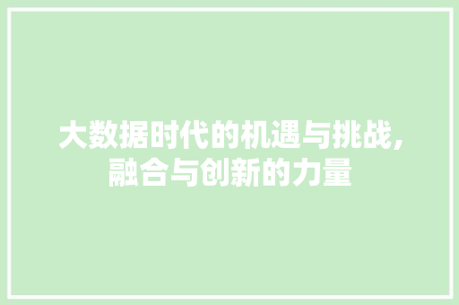 大数据时代的机遇与挑战,融合与创新的力量