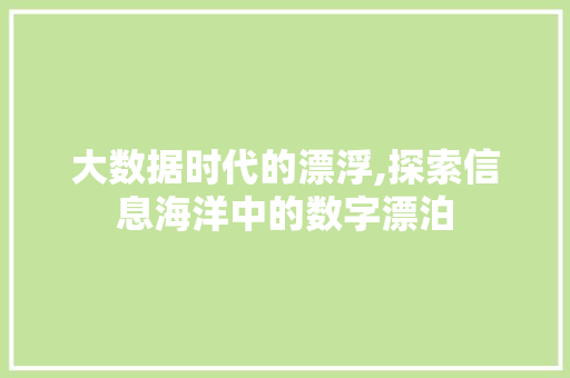 大数据时代的漂浮,探索信息海洋中的数字漂泊