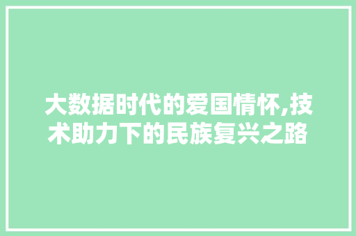 大数据时代的爱国情怀,技术助力下的民族复兴之路 商务信函