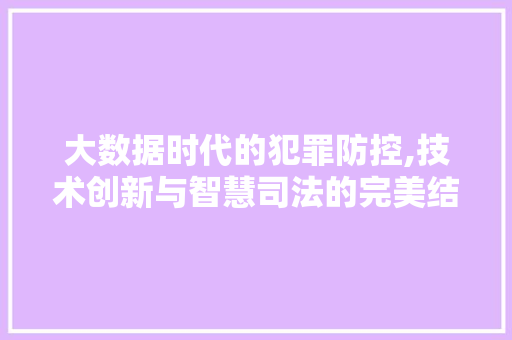 大数据时代的犯罪防控,技术创新与智慧司法的完美结合
