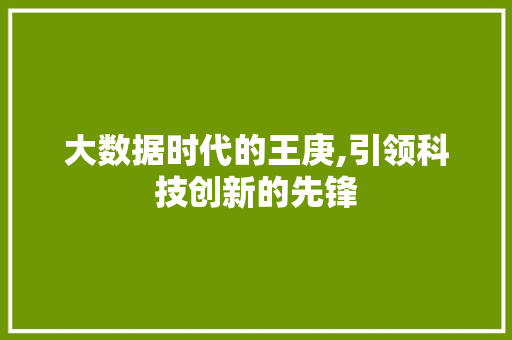 大数据时代的王庚,引领科技创新的先锋