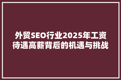 外贸SEO行业2025年工资待遇高薪背后的机遇与挑战