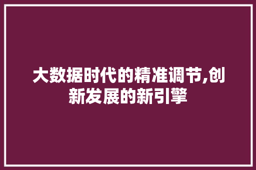 大数据时代的精准调节,创新发展的新引擎 市场营销范文